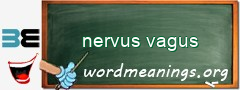 WordMeaning blackboard for nervus vagus